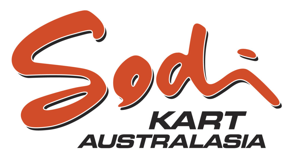 Simply the best rental karts you can drive